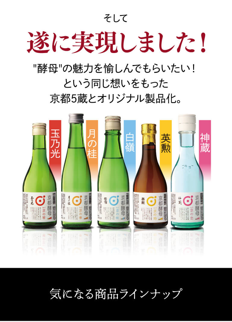 訳あり アウトレット 2022/10製造の為 送料無料 数量限定 日本酒 京都