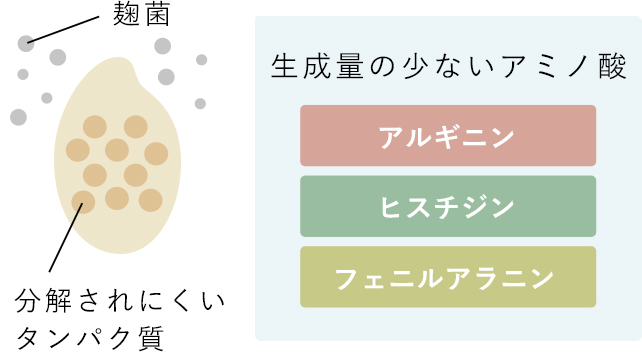 「山田錦」の持つタンパク質は、麹菌の持つ分解酵素では分解されにくいタンパク質が多く、分解されてできるアミノ酸の量が少ない。