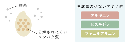 「山田錦」の持つタンパク質は、麹菌の持つ分解酵素では分解されにくいタンパク質が多く、分解されてできるアミノ酸の量が少ない。