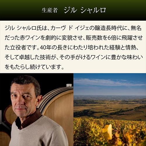 ホワイトクリーム 7冊セット 雑誌ワイレア出版 ホワイトクリーム 7冊セット 雑誌ワイレア出版