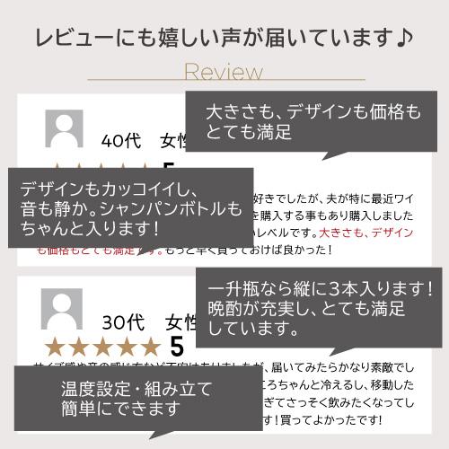 ワインセラー 送料無料 ルフィエール LW-S12【日本メーカー製ペルチェ 