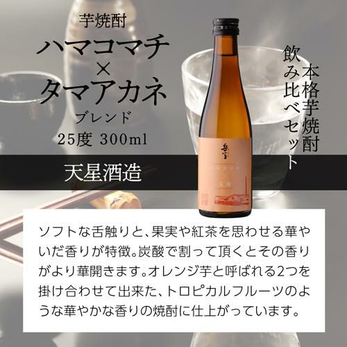 焼酎 芋焼酎 岳宝 飲み比べセット 300ml 5本 セット 鹿児島県 天星酒造 芋焼酎 飲み比べ セット ギフト 贈答 贈物 専用箱付き 酒  プレゼント お酒 長S リカマン オンライン