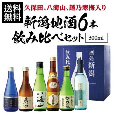 酒処新潟 厳選地酒 飲み比べセット300ml×6本 新潟県 日本酒 セット