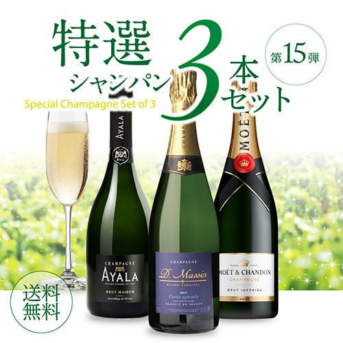 P10倍】【1本/4,980円】 送料無料 シャンパンセットモエ＆アヤラ入