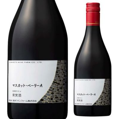 岩垂原メルロ 2017 サントリー 塩尻ワイナリー 750ml 日本ワイン 国産 