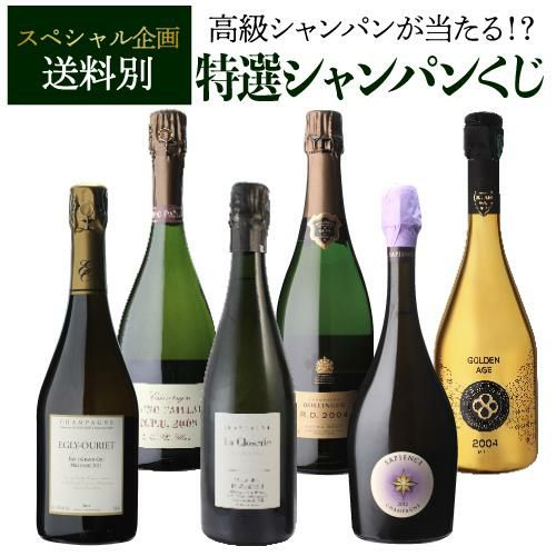 フランス ワールドカップ シャンパン - アルコールグッズ