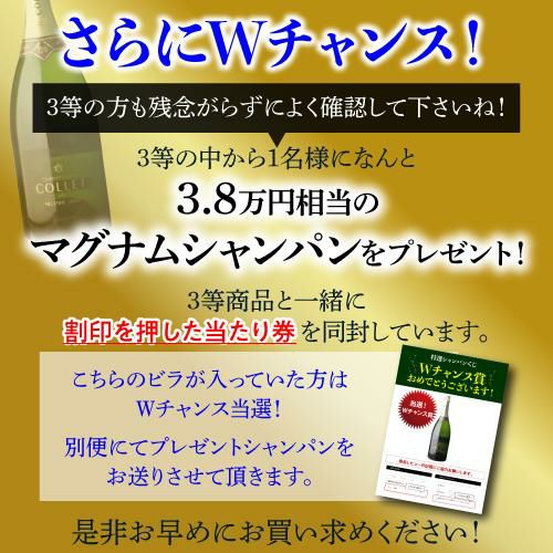 2023新品 送料無料 ヴィンテージシャンパン2本 1万円 シャンパン 福袋