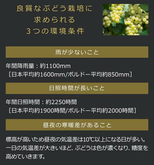 登美 ノーブルドール2009 サントリー 登美の丘ワイナリー 750ml 日本ワイン 国産 甘口白ワイン 貴腐ワイン 虎姫 | リカマン オンライン