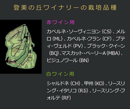 登美 ノーブルドール2009 サントリー 登美の丘ワイナリー 750ml 日本ワイン 国産 甘口白ワイン 貴腐ワイン 虎姫 | リカマン オンライン