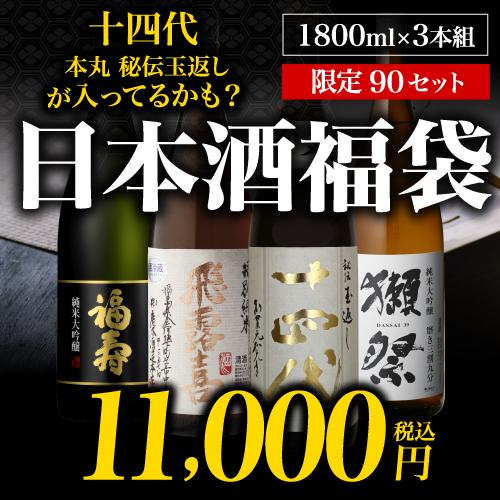 超希少日本酒 十四代本丸 2024.10製造 浸かり