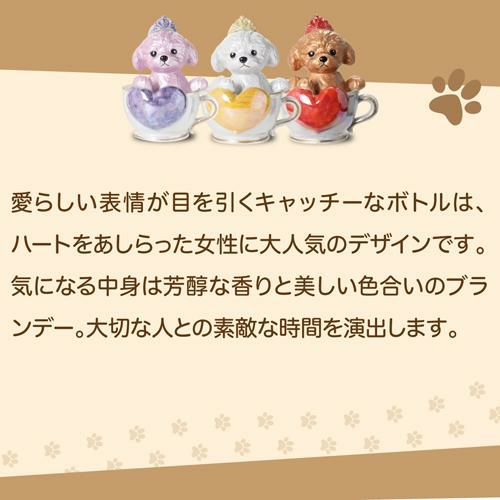 送料無料 正規品 ブランデー 箱付き ティーカッププードル