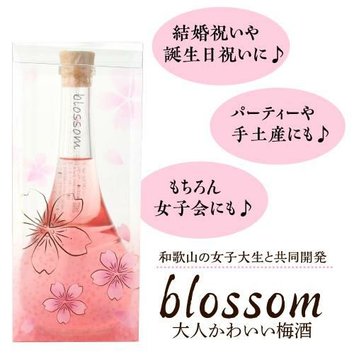 金箔入り梅酒 500ml 12本入り ケース販売送料無料 万上 金箔入り梅酒 ケース販売 500ml*12本入リ