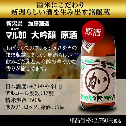 日本酒 飲み比べ セット 全国10蔵 大吟醸 720ml×10本セット純米大吟醸