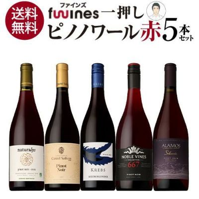 ブルゴーニュ ピノ ノワール 2021ドメーヌ ロベール グロフィエ 750ml