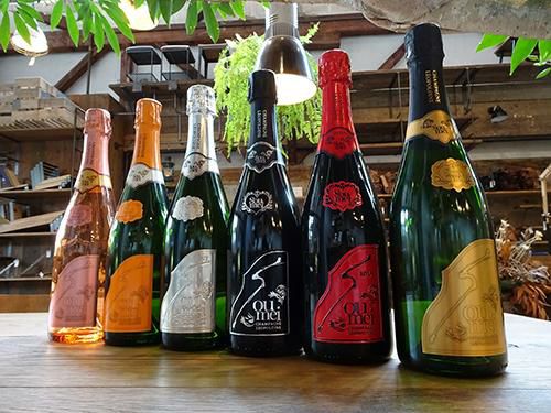 ソウメイ　750ml 2本セット ソウメイ2本セット ソウメイ2本セット ソウメイ 750ml 2本セット