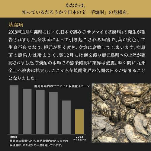 限定500本焼酎 芋焼酎 白金乃雫 しらかねのしずく 無加水原酒 37度