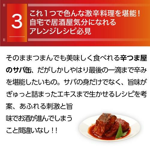 ケース買いがお得！1個あたり351円】送料無料 鯖缶 さば缶 サバ缶 辛