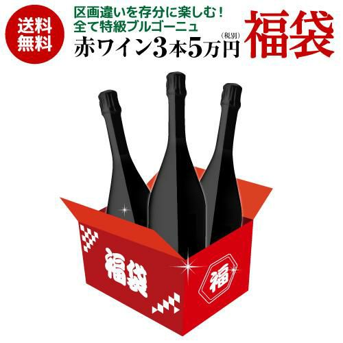 送料無料口外禁止＆SNS禁止 銘醸赤ワイン3本 5万円(税別)福袋 おまけ付