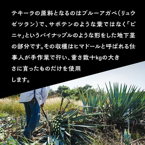 Amazon.co.jp: 正規品 ティエラ イ ポデール レポサド 750ml 40