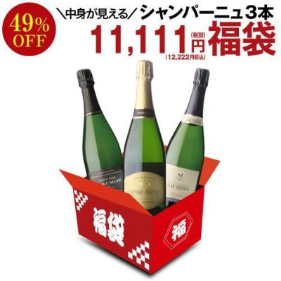 送料無料サン ガール オルパール ブラン ド ブラン ブリュット