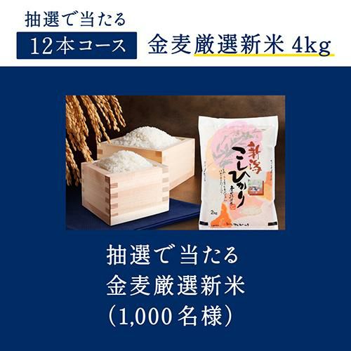 サントリー 金麦オフ 花やか皿貰えるCP 応募P+4点お得パッケージ