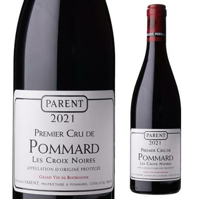 アンドレ・ブラジリエ　無署名『Le Domaine Perdu』0919B FD072 シャトーヌフ デュ パプ ルージュ キュヴェ サントネール