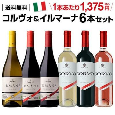 サン ガール オルパール ブラン ド ブラン ミレジメ 2002 箱 BOX グランクリュ 750ml 辛口 ブリュット シャンパン ミレジム  シャルドネ シャンパーニュ 長S | リカマン オンライン