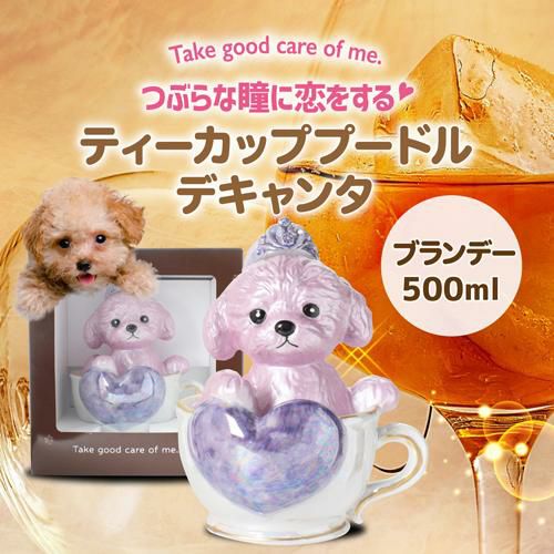 送料無料 正規品 ブランデー 箱付き ティーカッププードル