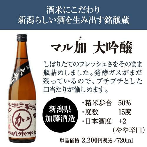 日本酒 大吟醸 720ml 3本 飲み比べ 大吟醸三昧セット 送料無料 金賞蔵