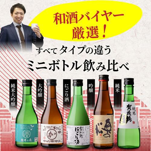 日本酒 タイプの違うミニボトル飲み比べ 300ml 5本 ギフトセット 送料