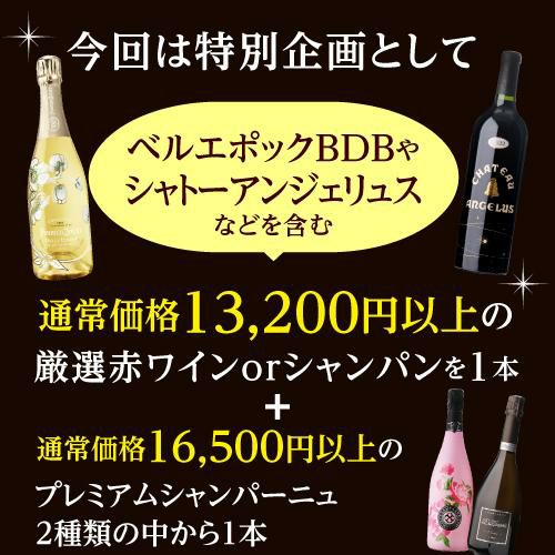 送料無料 ワインセットクリスマス ワインBOX 1.8万円 2本入ベル