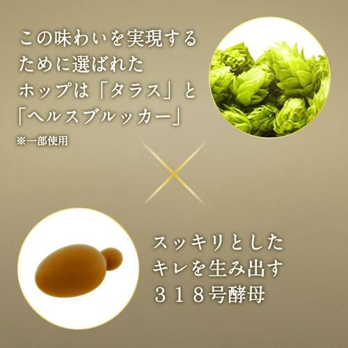 Amazon.co.jp: アサヒ アサヒ ザ・ビタリスト 350ml×2ケース/48