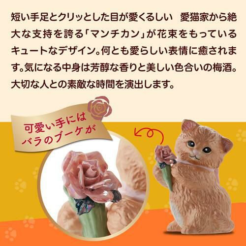 送料無料 正規品 梅酒 箱付き マンチカン ウィズブーケ ブラック