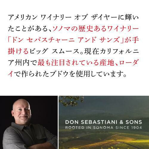ビッグ スムース ローダイ ジンファンデル [2021]ドン