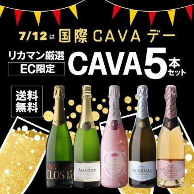 新品未開封ワイン５本セット　カバ　クレマン　信州たかやま　スパークリング　白　赤 送料無料 第39弾 ALLフランス産！クレマン 5本 セット