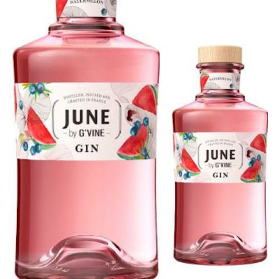 ウィルキンソン ジン37度 ペットボトル国産 WILKINSON GIN