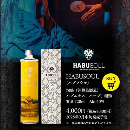 ハブリキュール HABUSOUL ハブソウル 40度 720ml沖縄県 龍泉酒造 ハブ