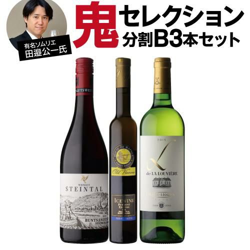 送料無料 3種から選べる田邉公一氏鬼セレクションワイン10本