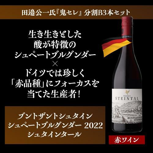 送料無料 3種から選べる田邉公一氏鬼セレクションワイン10本セット(A+B