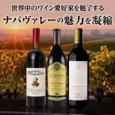 オーパス ワン 2017 750ml アメリカ カリフォルニア 赤ワイン