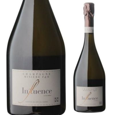 ジュヴレ シャンベルタン 2018ルイ ジャド 750ml正規品 フランス