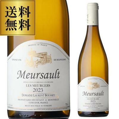 コラヴァン モデル2 エリートシルバー | リカマン オンライン