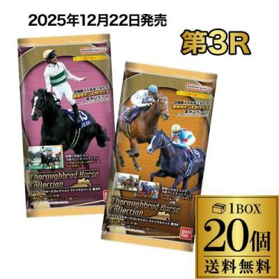 ポートシャーロット PC12 | リカマン オンライン