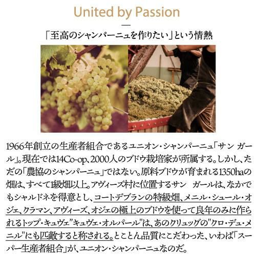 店頭展示在庫処分のため44,000円→処分価格19,800円訳あり 在庫処分