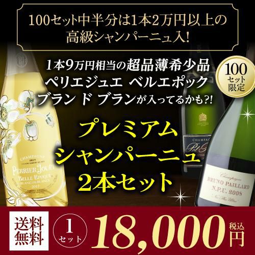送料無料 シャンパンセット プレミアム シャンパン 2本セット9万相当の