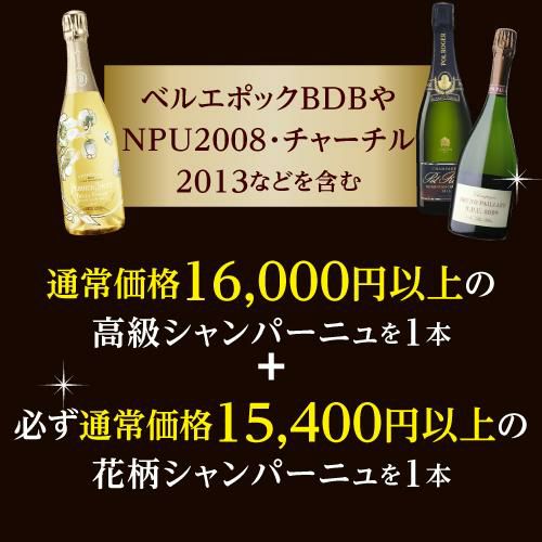 送料無料 シャンパンセット プレミアム シャンパン 2本セット9万相当の